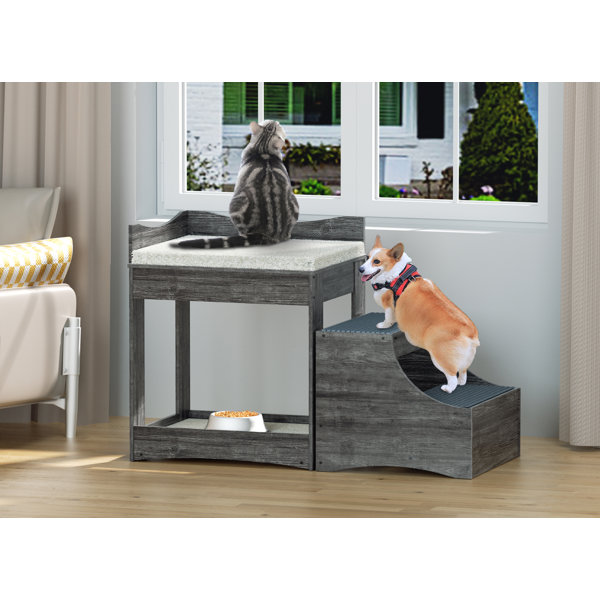 Dog window perch store